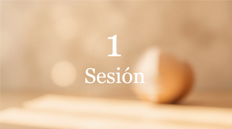 1 Sesion
